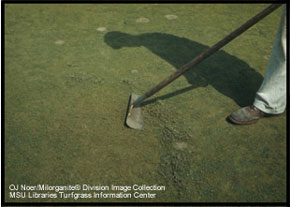 shadow of man holding a hoe on a golf course